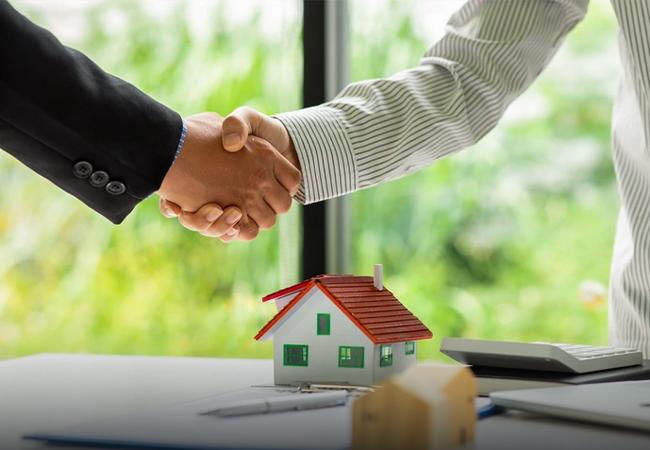 BUSINESS SETUP ASSISTANCE